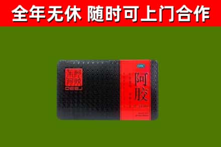 同心回收阿胶